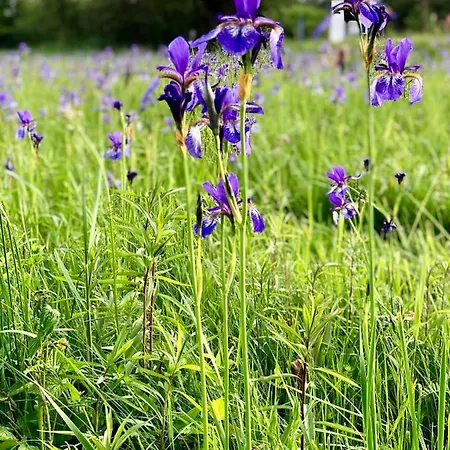 Ferien-apartment Miami - Mit Priv Strandzugang