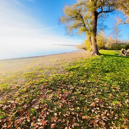 Ferien-apartment Miami - Mit Priv Strandzugang *