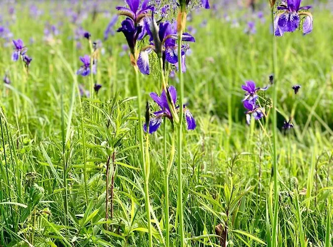 Ferien-apartment Miami - Mit Priv Strandzugang