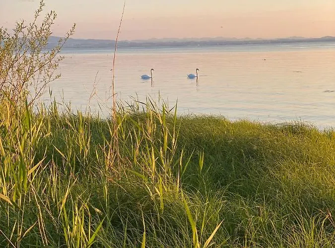 Ferien-apartment Miami - Mit Priv Strandzugang Lejlighed *